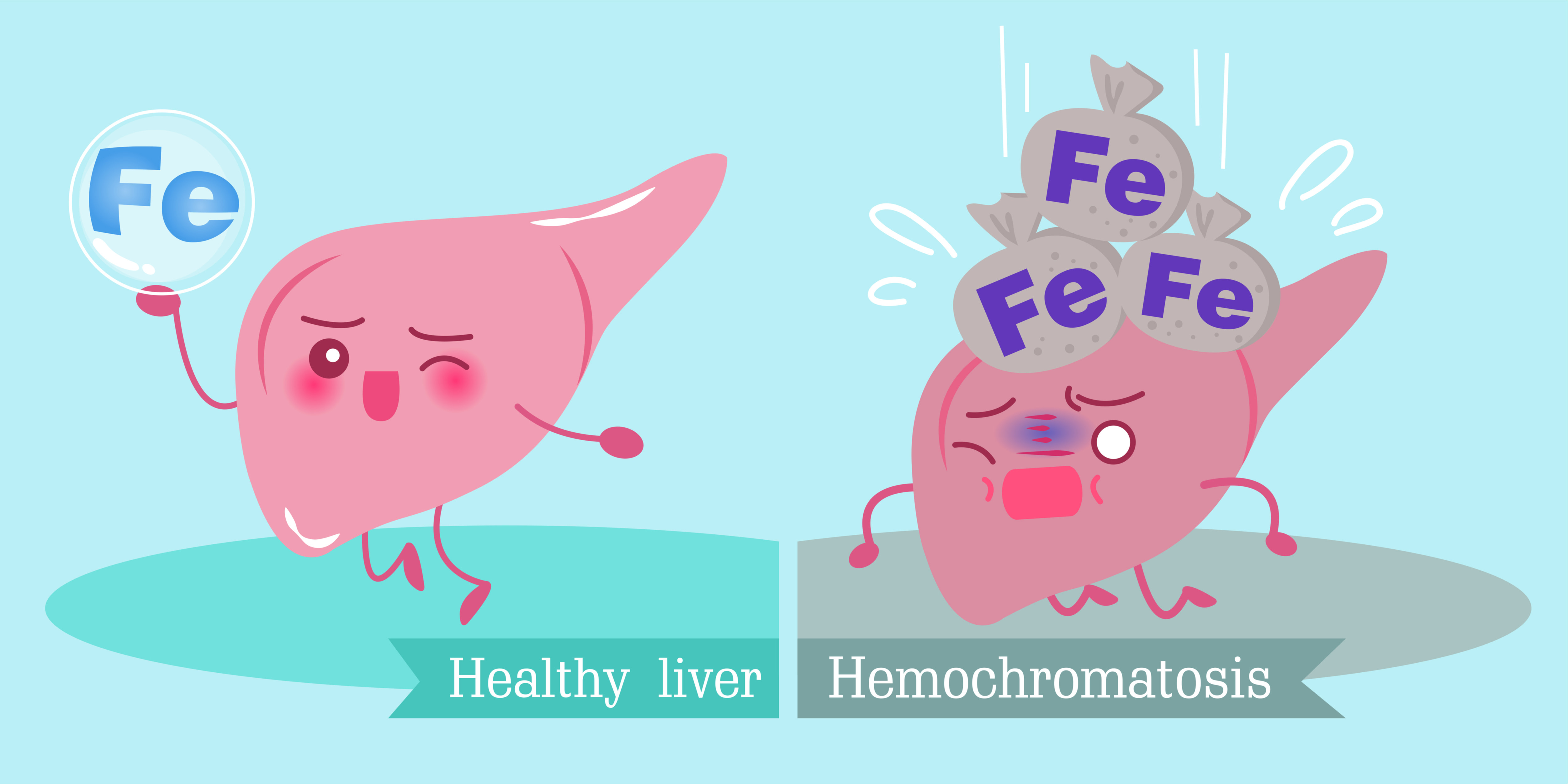 Haemochromatosis When You Have Too Much Iron In Your Body MyHealth1st